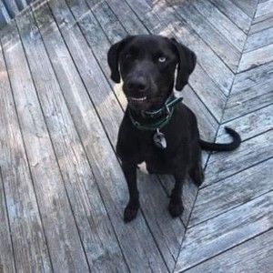 Meet your Posher, Marilyn